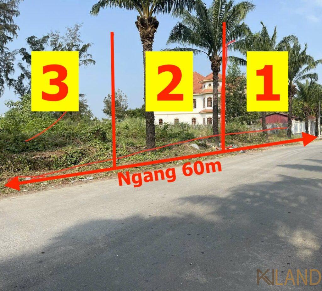 Vị trí nền biệt thự đường Trần Văn Giàu Cồn Khương và Sông Khai Luông khoanamland8