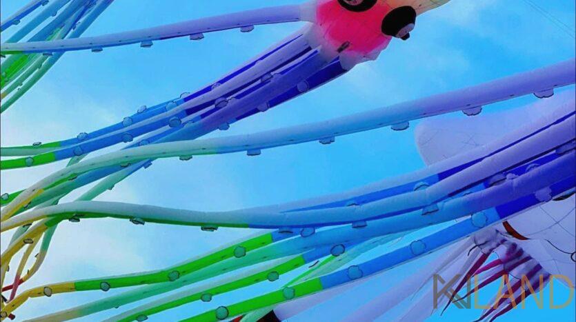 quảng trường tây đô cần thơ khoanamland9