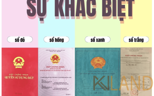 PHÂN BIỆT SỔ HỒNG, SỔ ĐỎ, SỔ TRẮNG, SỔ XANH