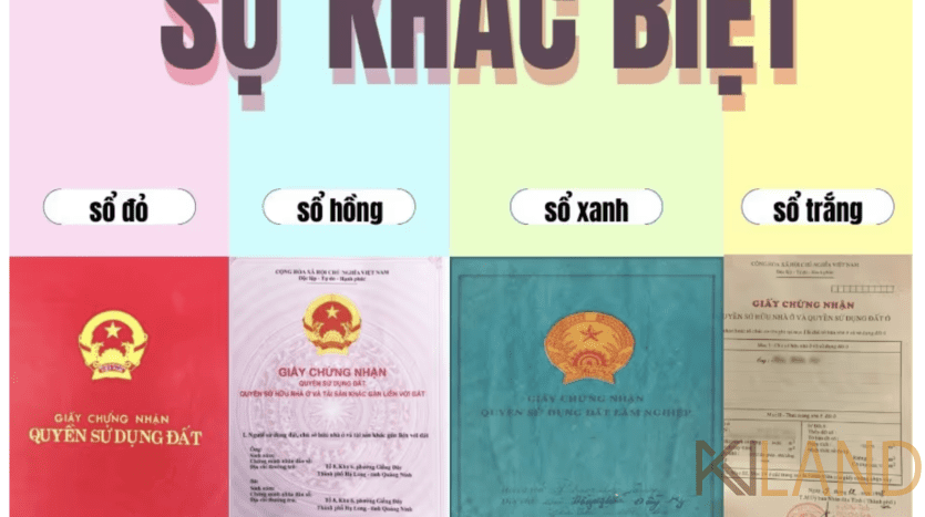 PHÂN BIỆT SỔ HỒNG, SỔ ĐỎ, SỔ TRẮNG, SỔ XANH